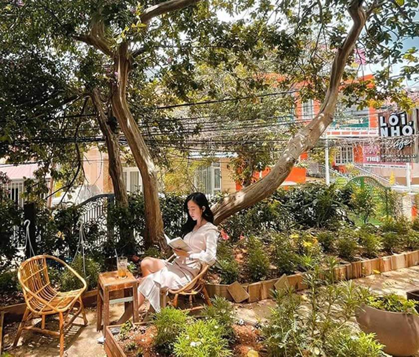 Top 25 Quán Cafe Đà Lạt Đẹp, Chill, View Xịn Xò 2023