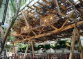 cafe thu duc