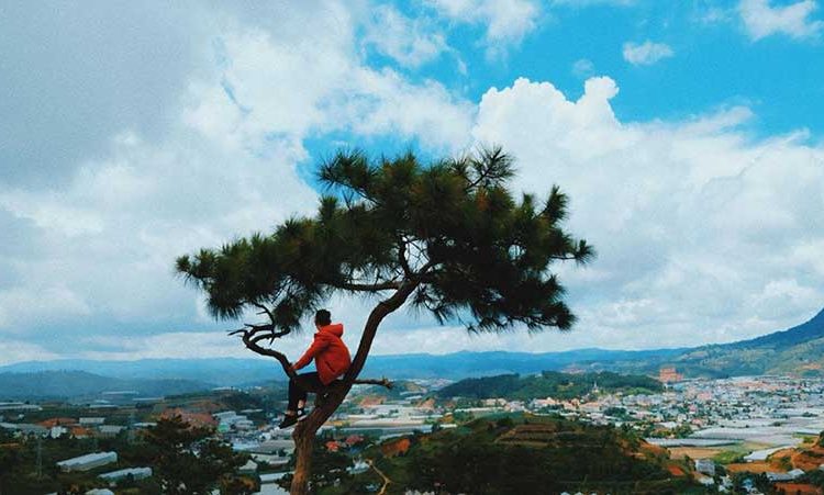 Du lịch Đà Lạt, nên đi mùa nào đẹp nhất