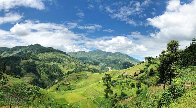 kinh nghiệm du lịch mù cang chải