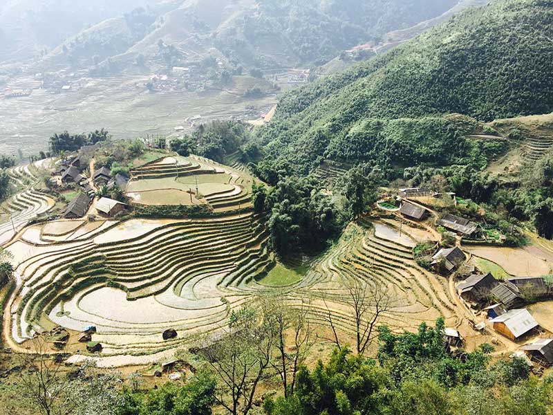 Kinh Nghiệm Du Lịch Hoàng Su Phì Hà Giang