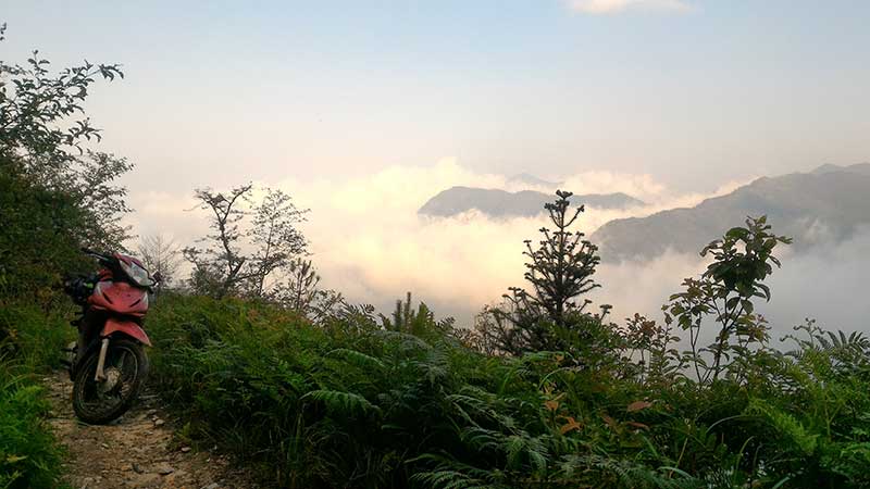 Kinh Nghiệm Du Lịch Hoàng Su Phì Hà Giang