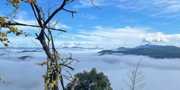 TOP 10 Quán Cafe Acoustic Ở Đà Lạt Gây Thương Nhớ TOP 10 Quán Cafe Acoustic Ở Đà Lạt Gây Thương Nhớ