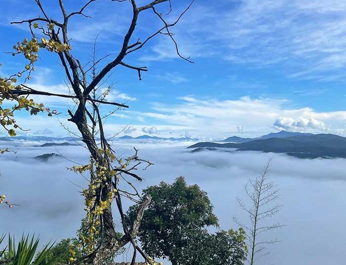 da lat