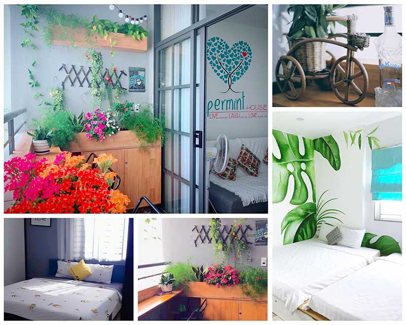 peppermint house vung tau 1