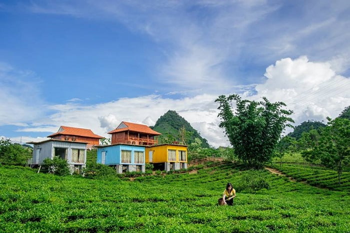 homestay moc chau arena village