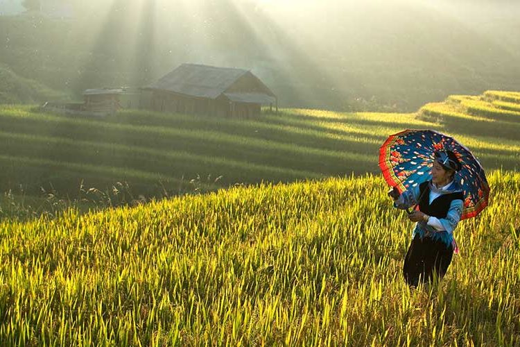 Kinh Nghiem Du Lich Hoang Su Phi Ha Giang11
