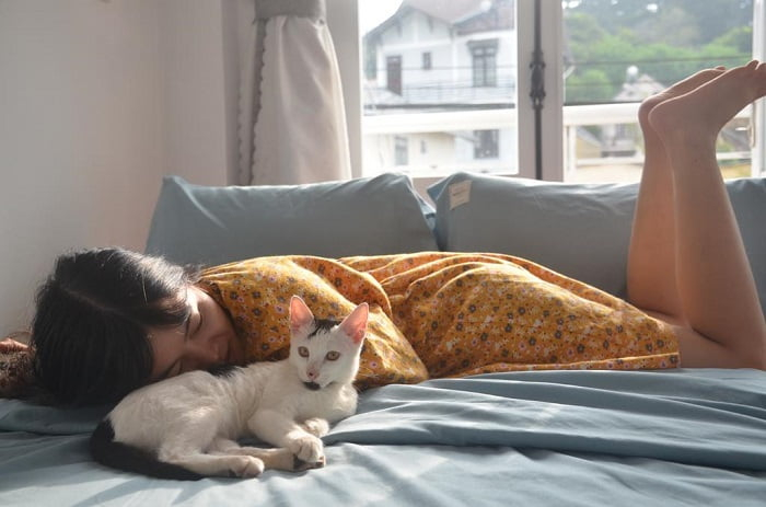 TOP 10 Homestay Đẹp Ở Bảo Lộc, Lâm Đồng Friendly Homestay