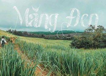 mang den