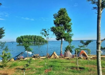 Duong den Ho Tri An 1