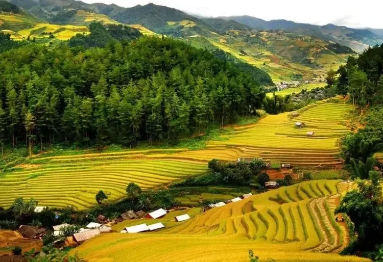 Ban Don Pu Luong