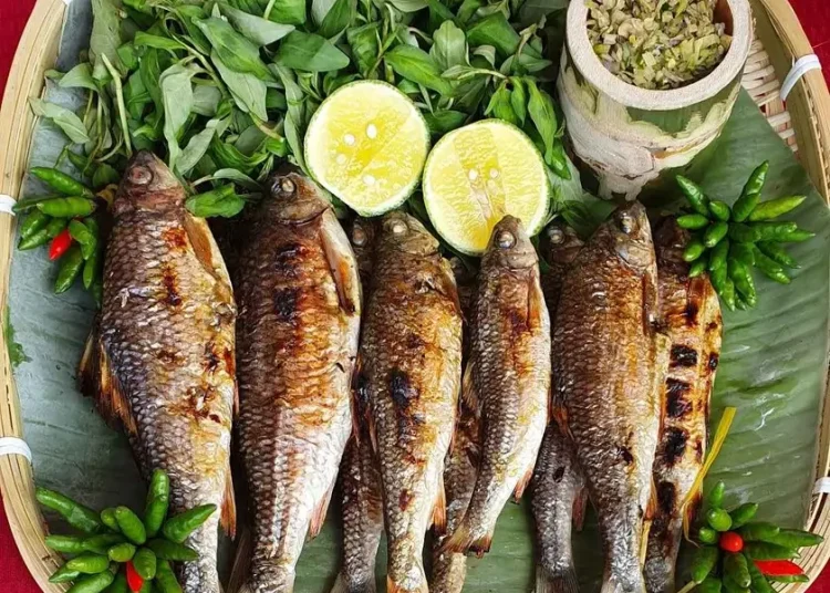 Ca suoi nuong