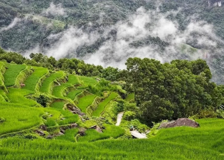 Du lich Pu Luong