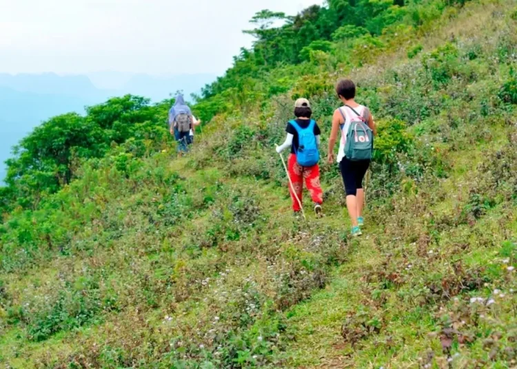Trekking dinh Pu Luong