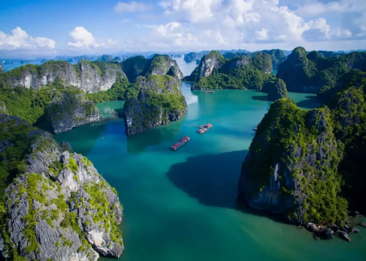 Vinh Bai Tu Long