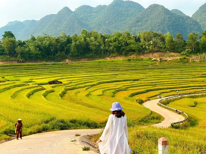 ban kho Muong 1
