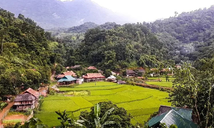 ban kho Muong