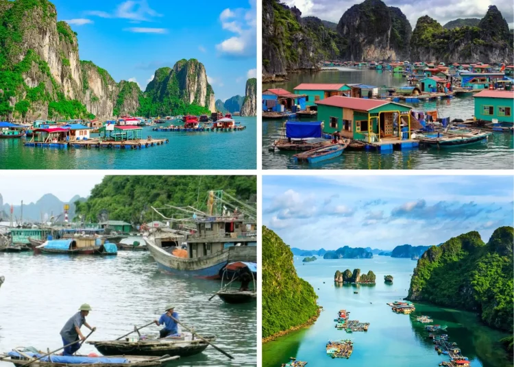 lang chai cua van