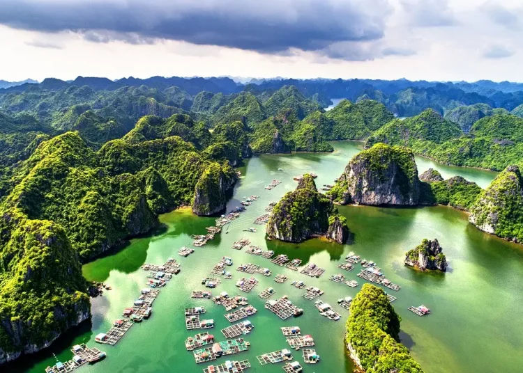 vinh ha lan