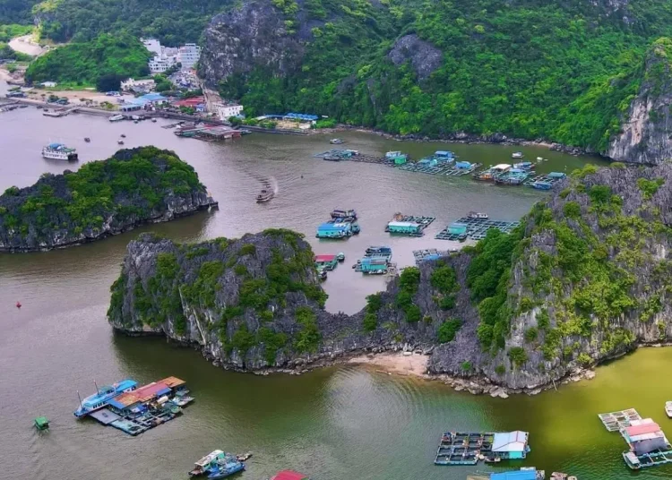 Dao Cat Ba