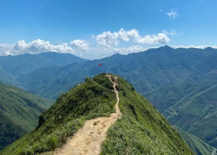 Song lung khung long