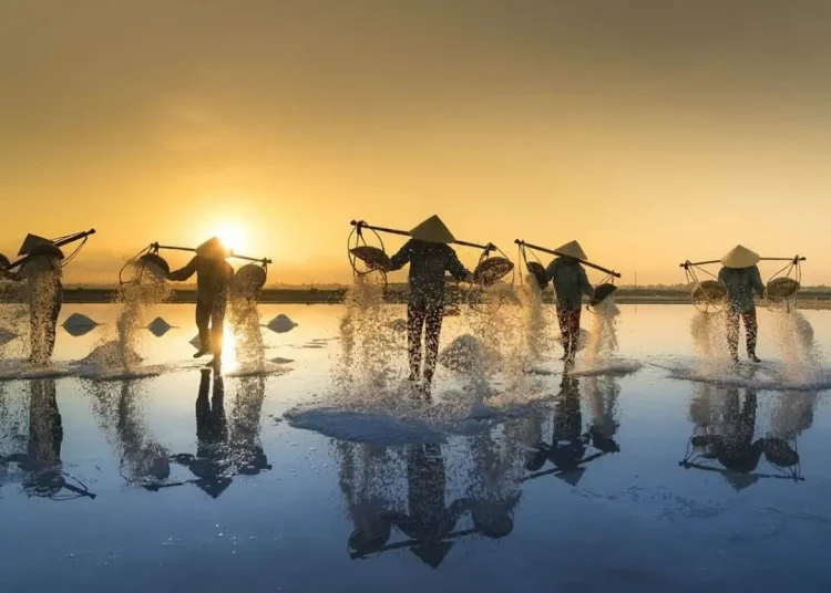 Canh dong muoi Sa Huynh