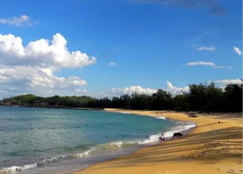 Quang Ngai 1