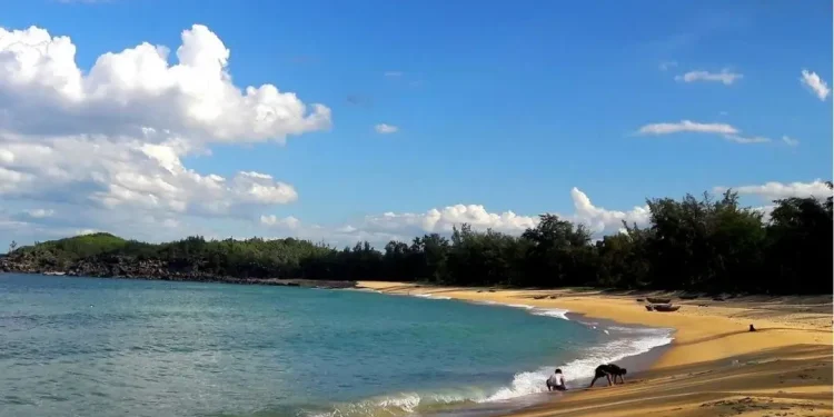 Quang Ngai 1