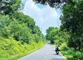 Kinh Nghiệm Du Lịch Đại Lải Vĩnh Phúc Tực Túc 2 Ngày 1 Đêm